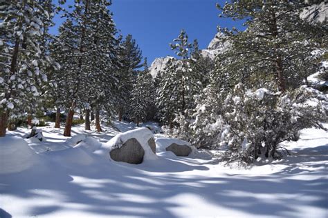 Mount Whitney Summit Day – HUNT CHALLENGES