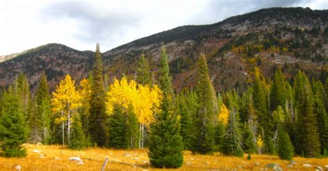 10 Epic Hikes in the Payette National Forest | 10Adventure | 10Adventures