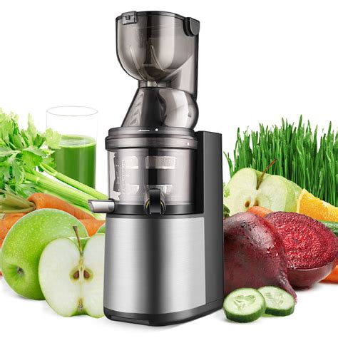 Cold Press Juicer Machine Masticating Slow Juice Extractor Maker Fruit Vegetable | eBay