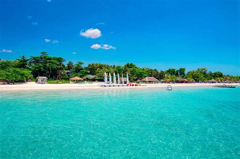 Booby Cay Island: A Gem Off Jamaica’s Shores | BEACHES