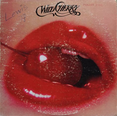 Wild Cherry – Wild Cherry (1976, Pitman Pressing, Vinyl) - Discogs