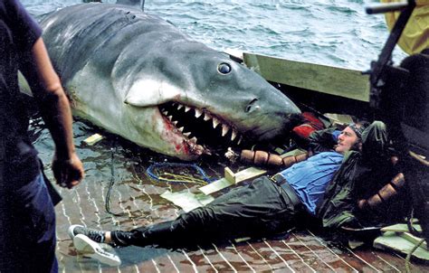 10 Amazing Behind-the-Scenes Photos From the Making of the Film ‘Jaws’ ~ Vintage Everyday