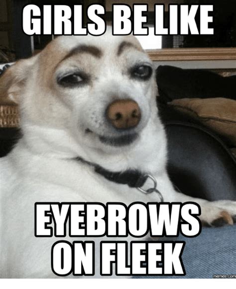 25 Eyebrow Memes That Are Totally On Fleek! - SayingImages.com