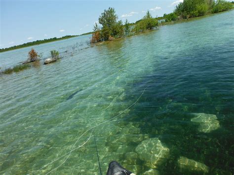 SUP on the FLY | True North Trout