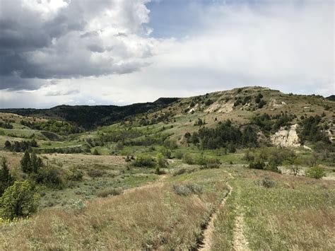 Petrified Forest Loop Trail | Outdoor Project