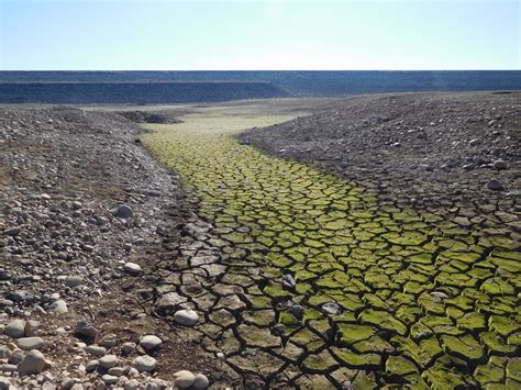 200 Years of Drought, California? Time to Rethink Conservation Messages