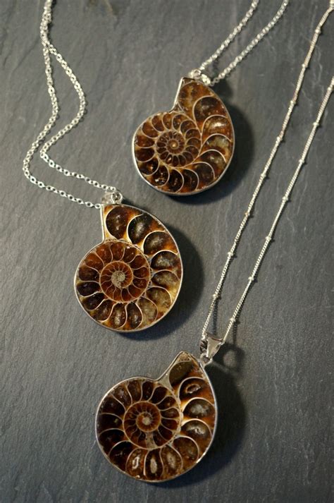 Ammonite Fossil / Ammonite Necklace / Silver Ammonite Necklace - Etsy