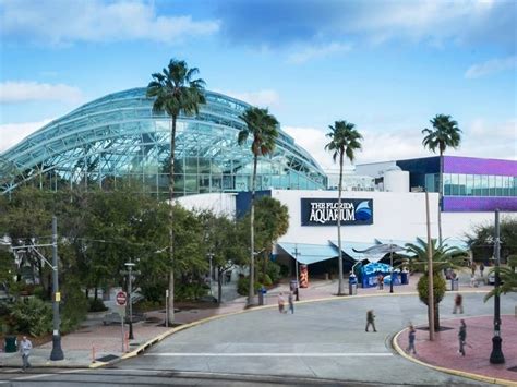 Florida Aquarium Celebrates 25th Anniversary With Expansion | Tampa, FL ...