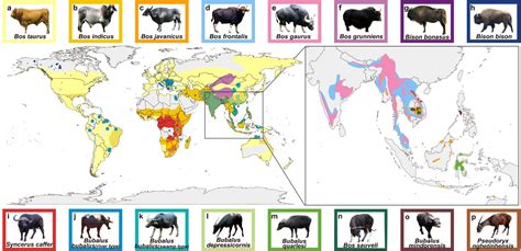 Prof Alison Van Eenennaam (@BioBeef) on Twitter: "Ohh a paper all about ...