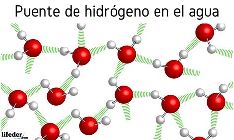 Enlace por puente de hidrógeno: características, ejemplos