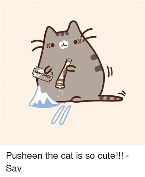 Pusheen cat Memes