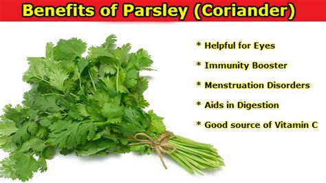 Benefits of Parsley in Hindi: Guno se Bharpur Hai Dhaniya