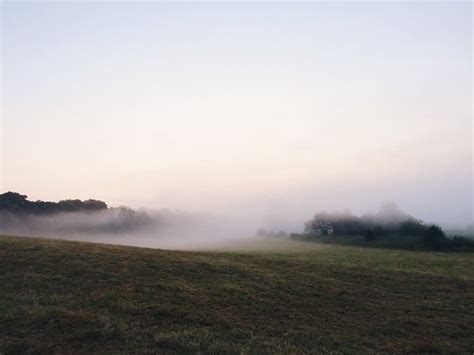 Morning fog. | Photography by Christian Nass Thank you for h… | Flickr