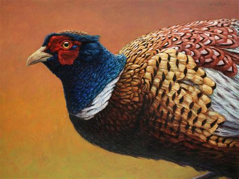 Portrait Of A Pheasant Painting by James W Johnson