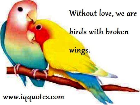 17 Best images about Quotes on Pinterest | Bible quotations, Love birds and Single life quotes