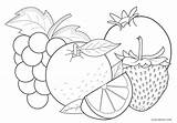 Fruit Color Sheet sketch template