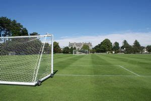 Football Grass Types: What is used on professional pitches?