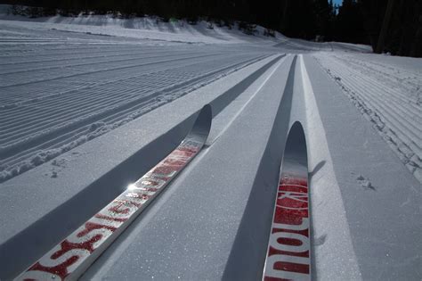 Everything you needed to know about Kamloops cross-country ski trail ...