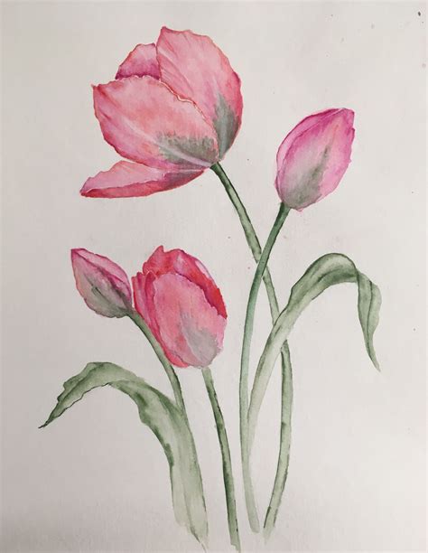 Tulips | Watercolor flower art, Flower art painting, Watercolor tulips