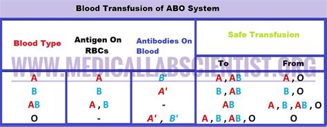 Bombay Blood Group Test Procedure | petmycatuss