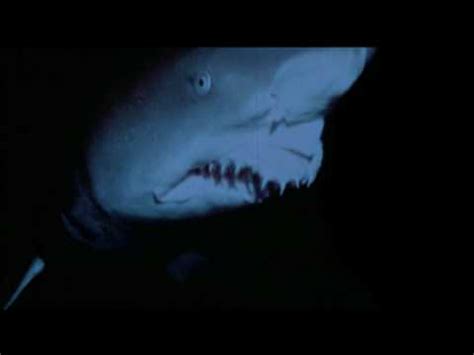 Shark scene from strange wilderness! - YouTube