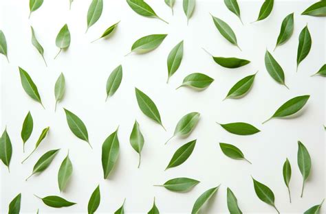 AI generated green leaf wall art 35848316 Stock Photo at Vecteezy