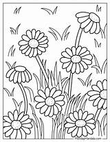 Daisy Coloring Page sketch template