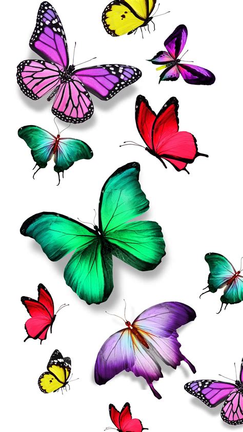 Colorful Butterfly Wallpapers - Wallpaper Cave