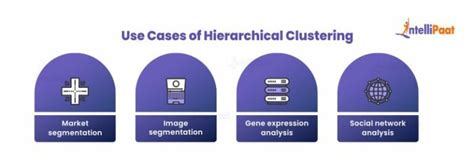 What is Hierarchical Clustering? Types, Method & Applications