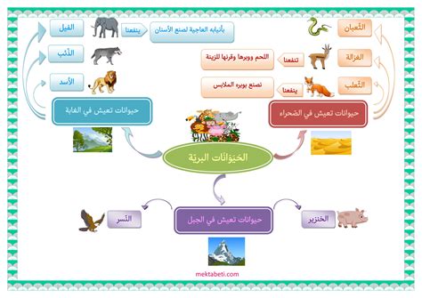 الحيوانات الأليفة والحيوانات البرية - مكتبتي المنصة التعليمية