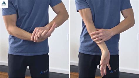 3 Forearm Pain Exercises & Tips for Prevention - Precision Movement