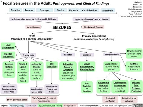 Focal Seizures in the Adult: Pathogenesis and Clinical Findings | Calgary Guide