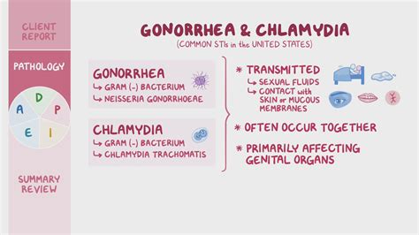 Gonorrhea | DenverFerguson