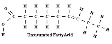 Unsaturated Fats - Lipids