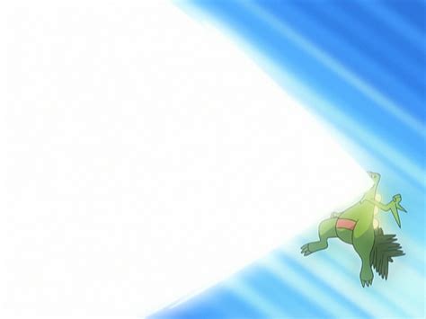 Image - Ash Sceptile Solar Beam.png | Pokémon Wiki | FANDOM powered by Wikia