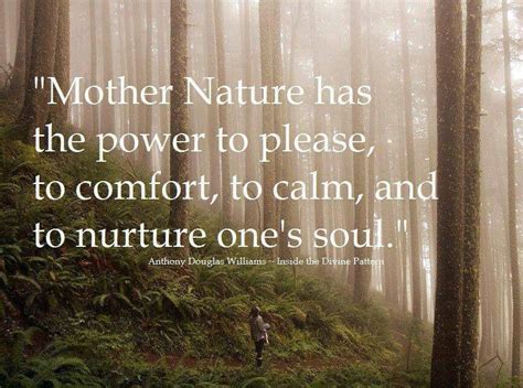 Pin by The Barefoot Traveler on Quotes I love | Mother nature quotes, Nature quotes, Nurture quotes