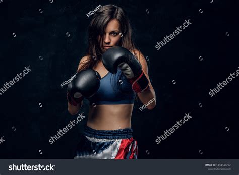 Young Attractive Female Boxer Long Hair Stock Photo 1494340292 ...