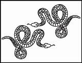 Rattlesnake Coloring Pages  Roaring Spork sketch template