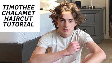 Timothee Chalamet Hairstyle Reddit - Timothee Chalamet Breaks Silence ...