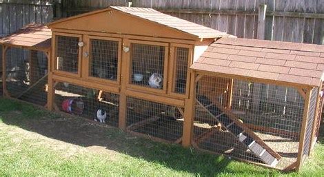 Flemish Giant Rabbit Cage - [+] Lunawsome