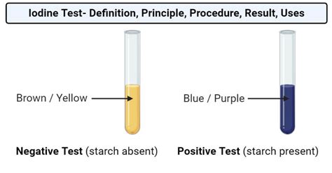 Is Iodine Positive or Negative? - Infrared for Health