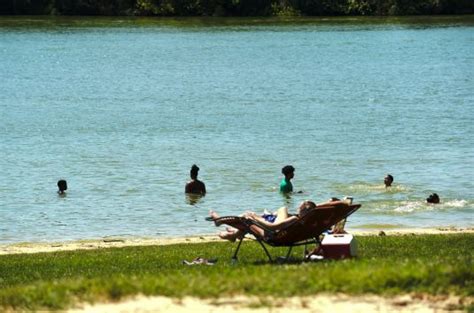 Blue Marsh Lake harmful algal bloom still a concern