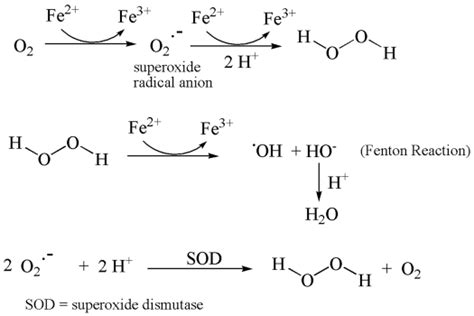 Enzymatic and non-enzymatic reactions for the formation of hydrogen ...