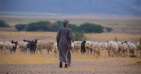 Traditional Farming Techniques Are Stopping Desertification - Goodnet