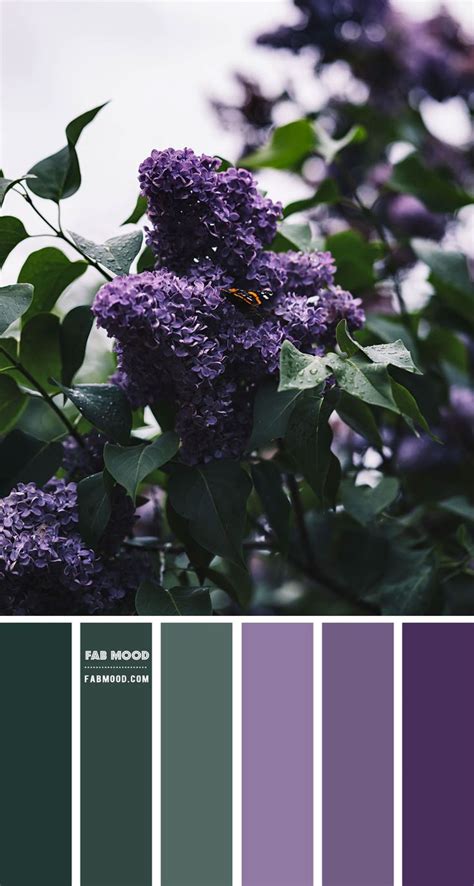 Green and Purple Colour Combination – Colour Palette 138 | Purple color schemes, Green colour ...