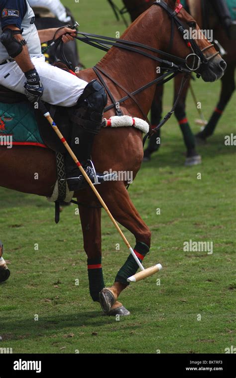 Polo game hi-res stock photography and images - Alamy