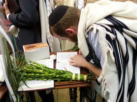 Sukkot Shabbat Chol Hamoed: Sukkot and the Clouds of Glory | Messianic Bible