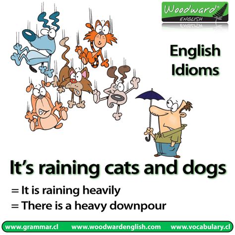 It’s raining cats and dogs | Woodward English