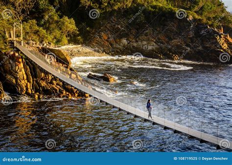 Suspension Bridge in Storms River Mouth National Park Editorial Image - Image of mountain ...