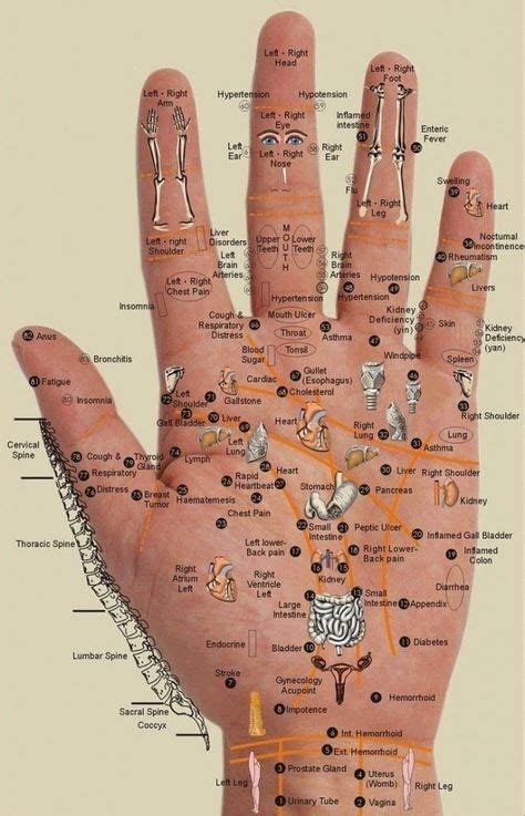 10+ Best Jin Shin Jyitzu images in 2020 | acupressure, hand reflexology, reflexology